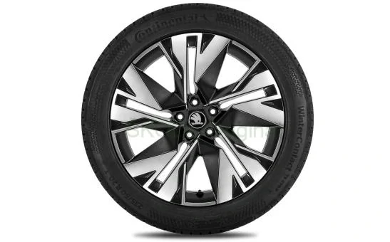 Kompletní zimní kolo Remo 20" přední pro Elroq