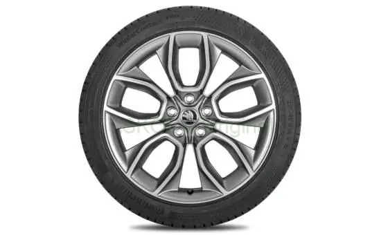 Kompletní zimní kolo Crater 19" pro Karoq (4x4)