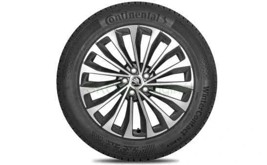 Kompletní zimní kolo Asterion 20" pro Enyaq