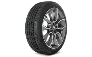 Kompletní zimní kolo Crater 19" pro Karoq (4x4)