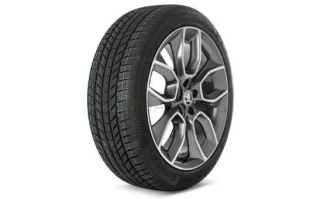 Kompletní zimní kolo Crater 19" pro Karoq (4x4)