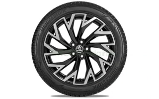 Kompletní zimní kolo Helix 19" pro Superb IV
