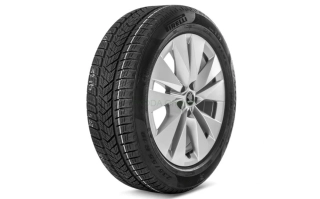 Kompletní zimní kolo Proteus 19" zadní pro Elroq